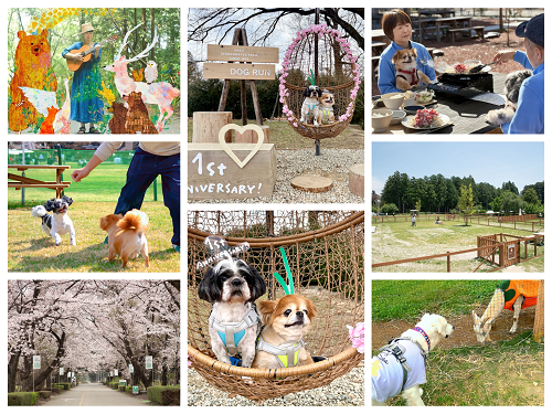 春のおでかけは、愛犬と那須塩原へ。那須千本松牧場、グランドオープン
