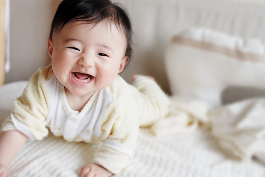 なぜ人間の赤ちゃんだけ“無力”なのか？──進化が選んだ不思議な戦略 