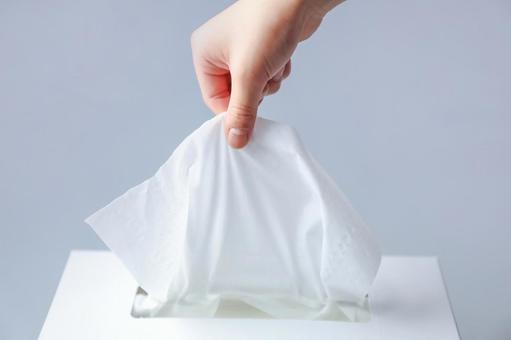 日常が変わる“高級ティッシュ”という選択──触れるだけで贅沢な気分に